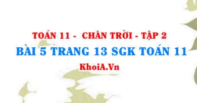 Bài 5 trang 13 Toán 11 Tập 2 Chân trời sáng tạo